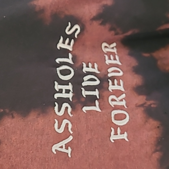 A-Holes Live Forever hoodie - Picture 2 of 4